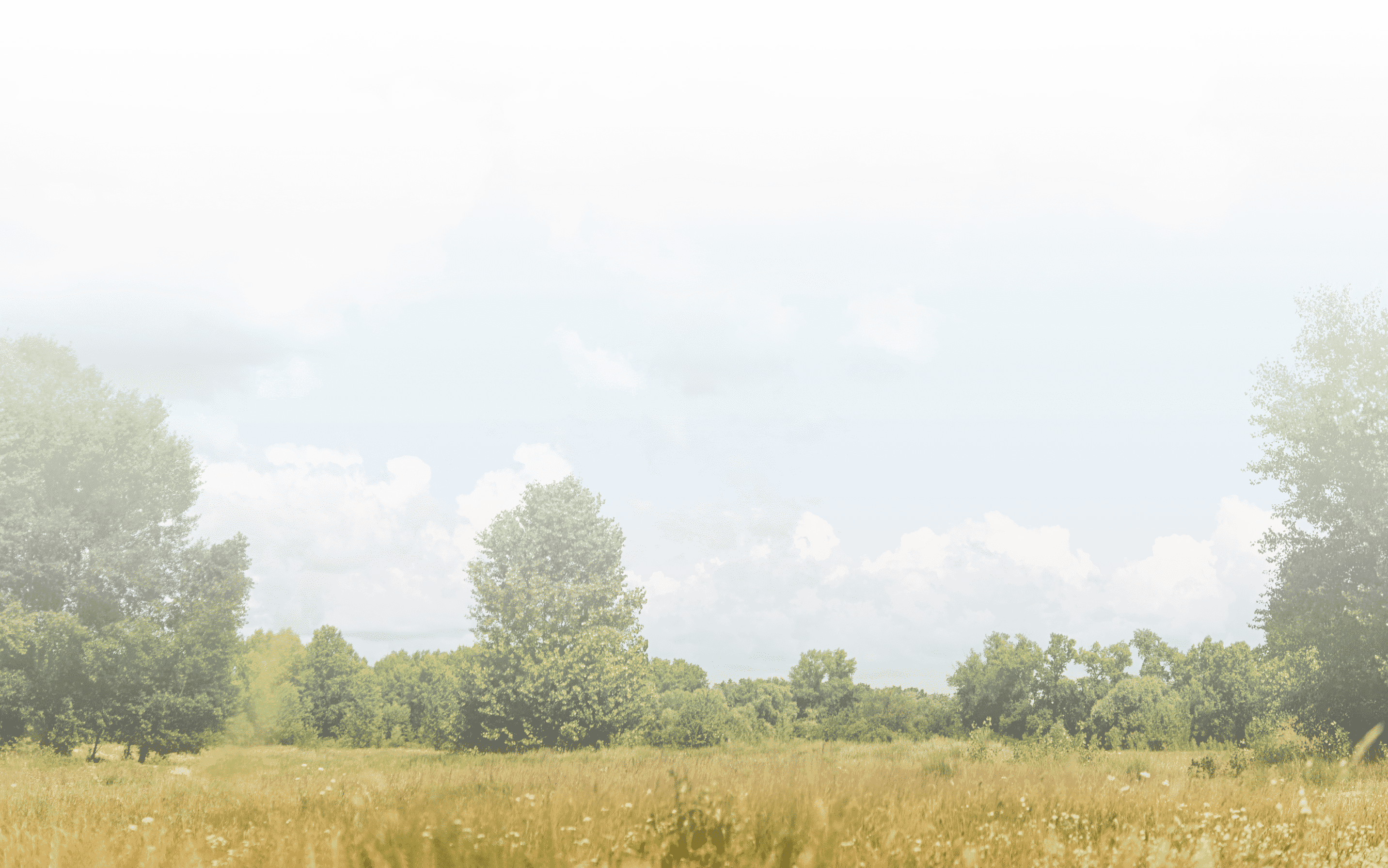 Pastoral landscape background